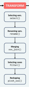 Diagram illustrating various data transformation techniques applied in longitudinal data analysis.